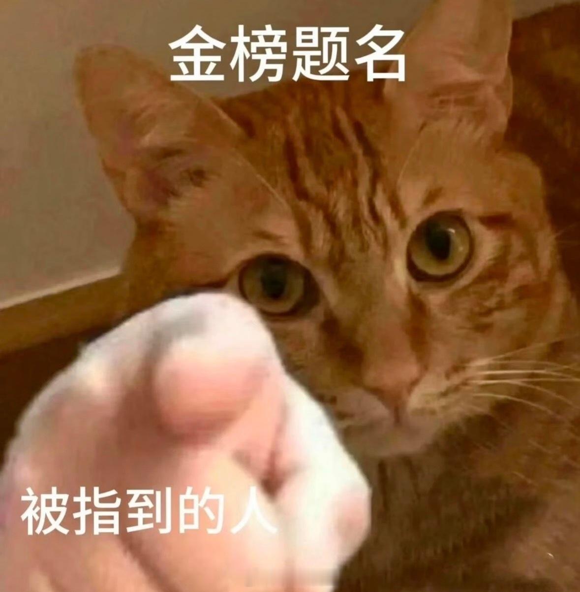 我那年的高考作文主题是“可为和有为”，回想起来，完全不吃压力啊！！也祝大家高考加