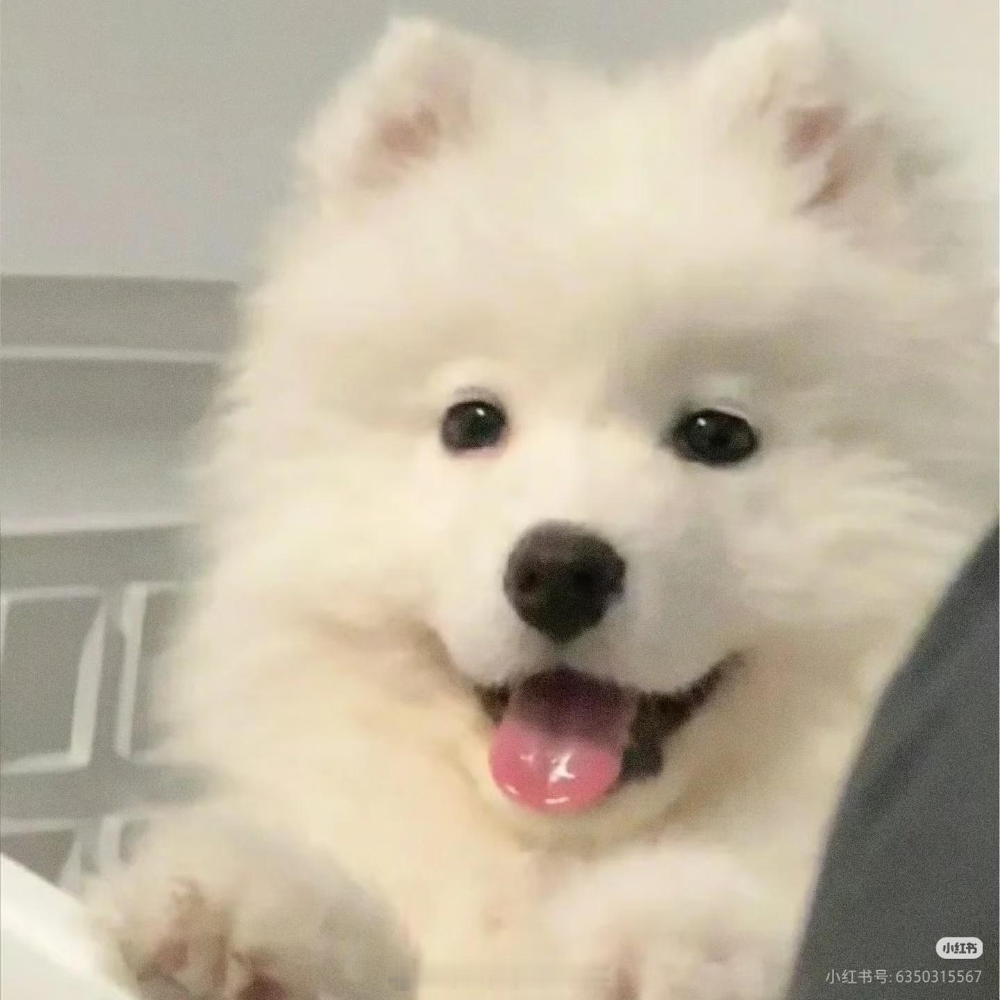 舒师傅好舒服地在摸鱼诶嘿嘿嘿嘿…… 