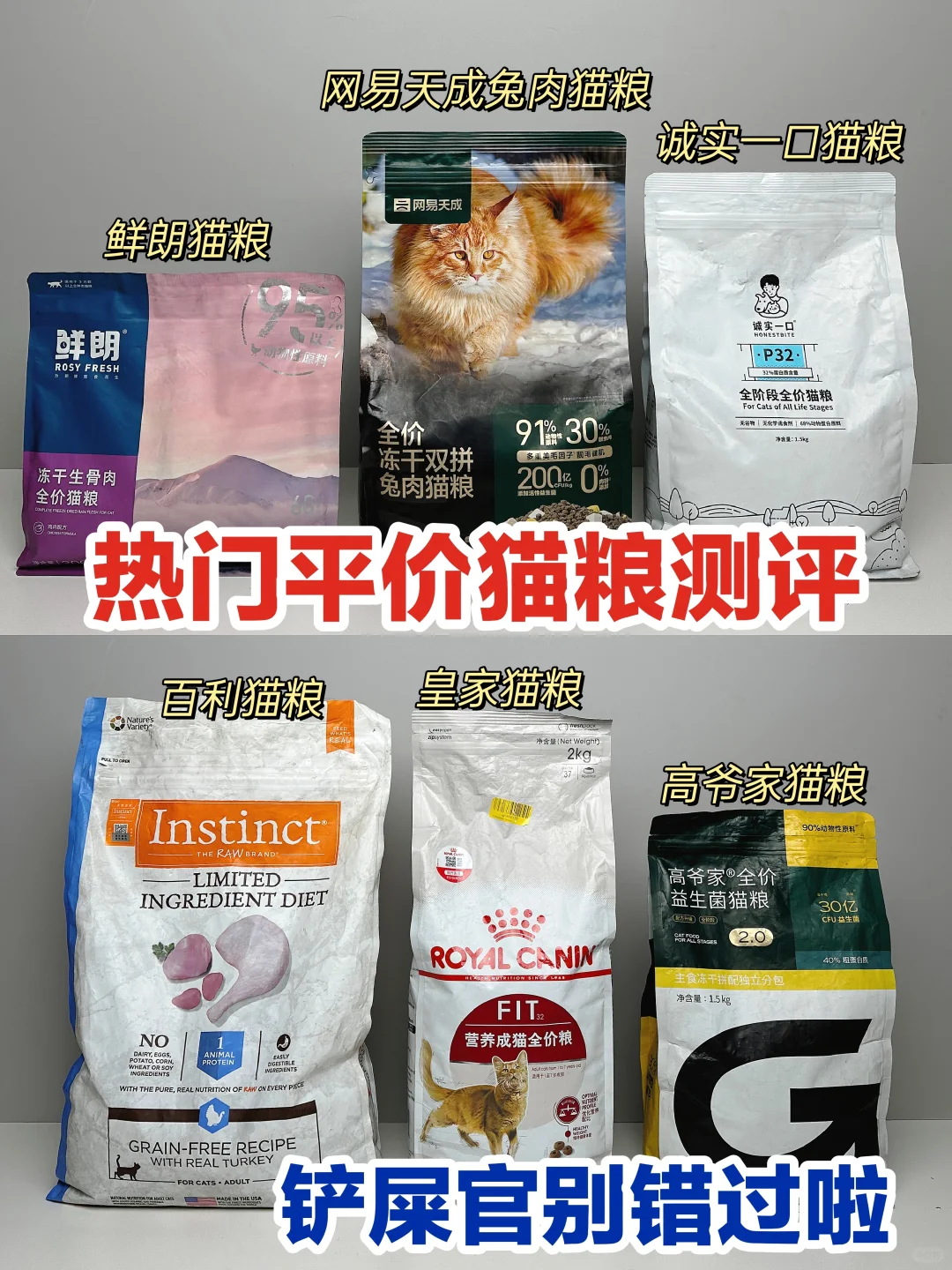 硬控铲屎官30s！六款热门平价猫粮推荐