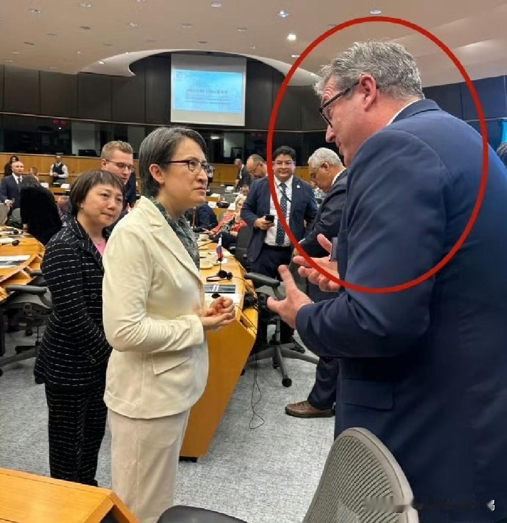 个人觉得老中应该再激进一些，把沈伯洋做成铁案之后，下一个直接通缉萧美琴。

这样