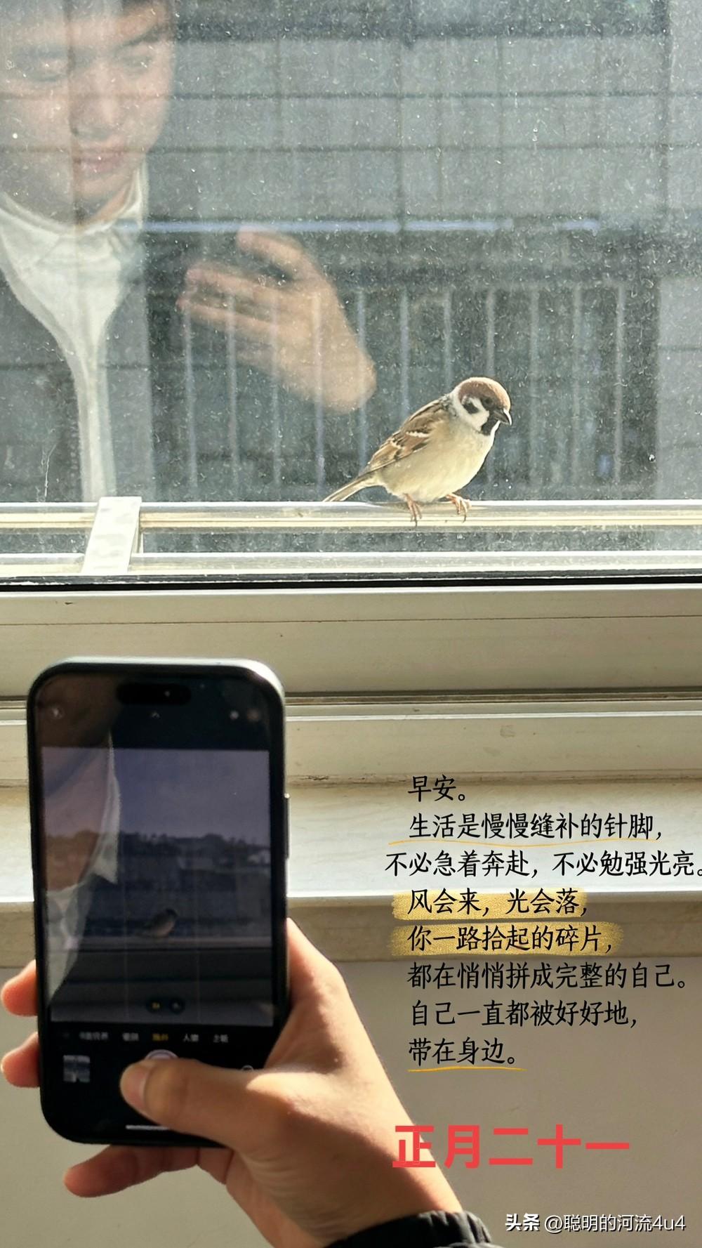 [微风]🌹🌞🌿💖🌻🌹🍃
早安。
今天不过是时间线上
一个新鲜的针脚