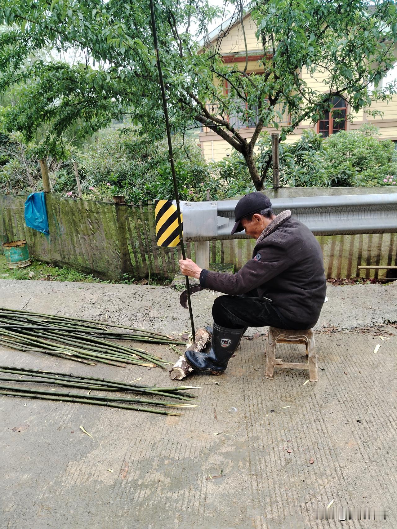 我的父亲已85岁高龄。
父亲依旧坚持种地，种了玉米，还栽下辣椒、苦瓜、丝瓜、南瓜