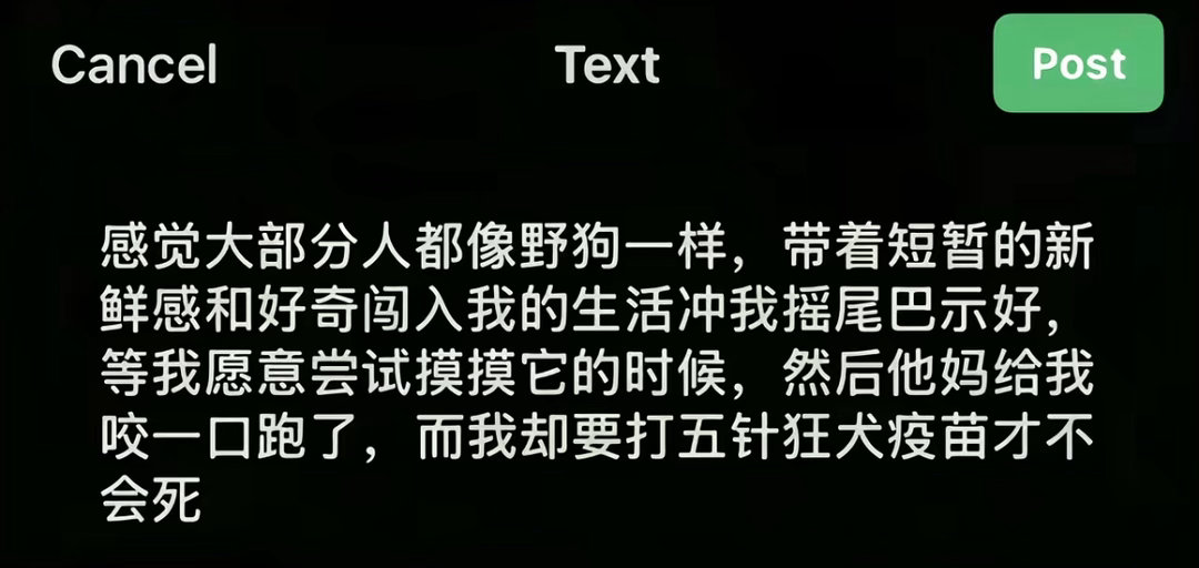 分享图片 
