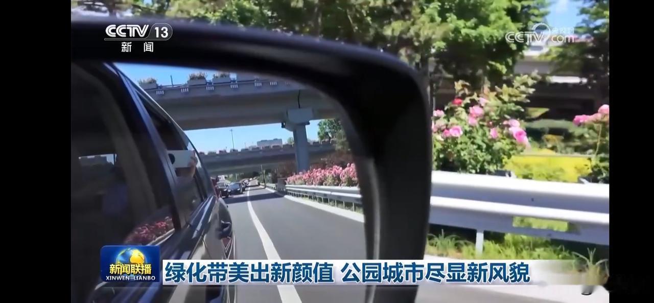 绿意盎然的城市风光，带你领略公园城市的魅力！🌳🌸