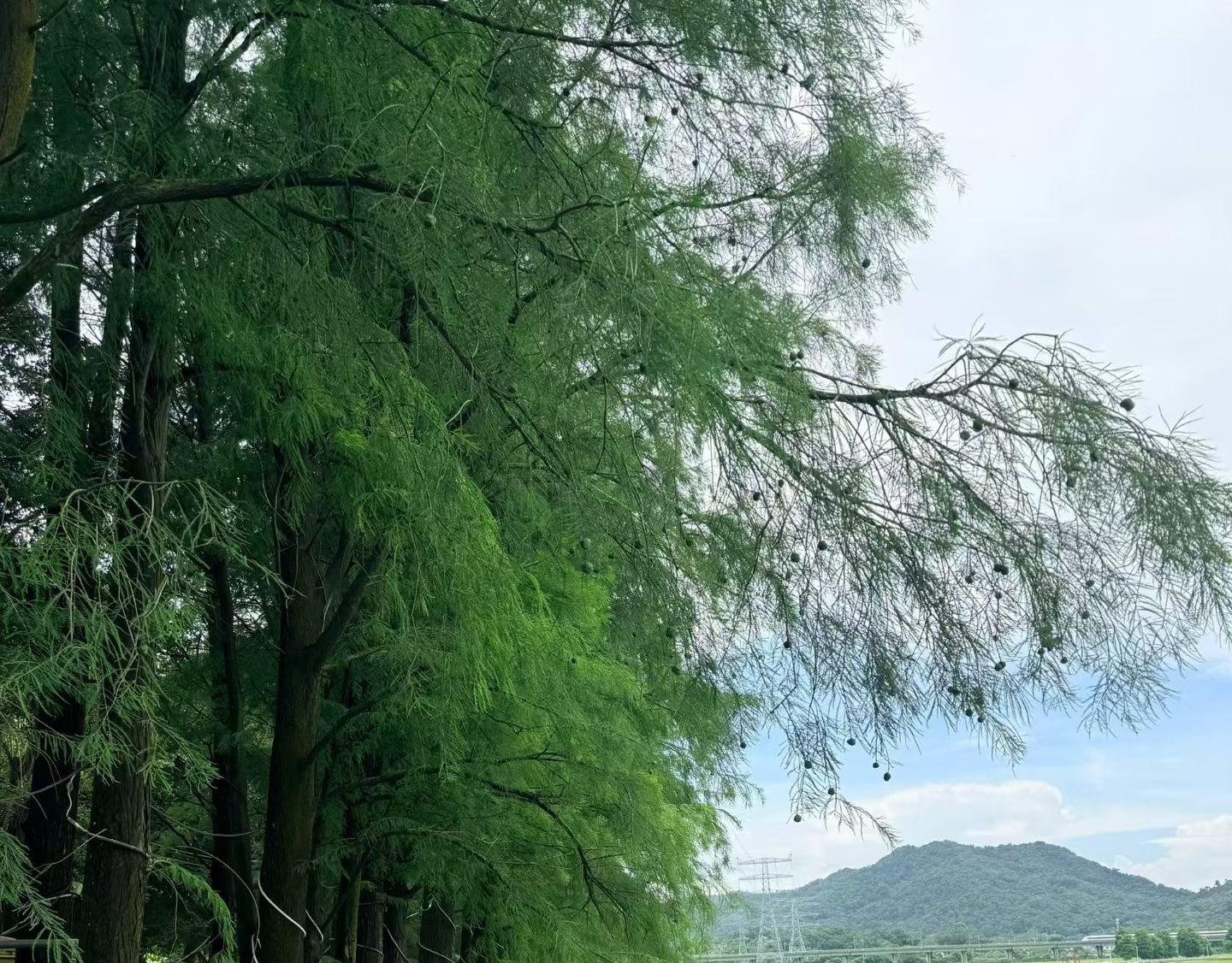 晚安好梦认真对待三餐四季善待每一个朝夕于烟火琐碎中把生活过成自己喜欢的模样 