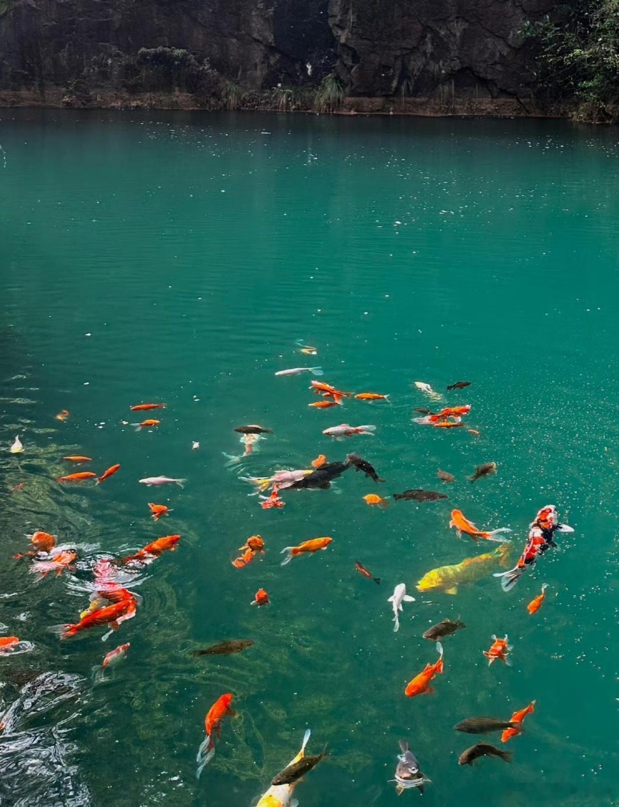 一个快速恢复精力的小诀窍。日常生活工作之中，花5分钟的时间闭目养神，同时一边练习