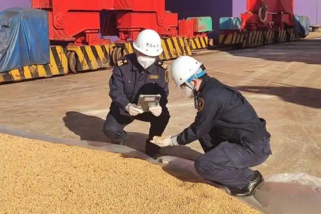 中国突然退回30万吨阿根廷大豆！官方已经放话，这批标着“阿根廷产”的大豆，将一粒