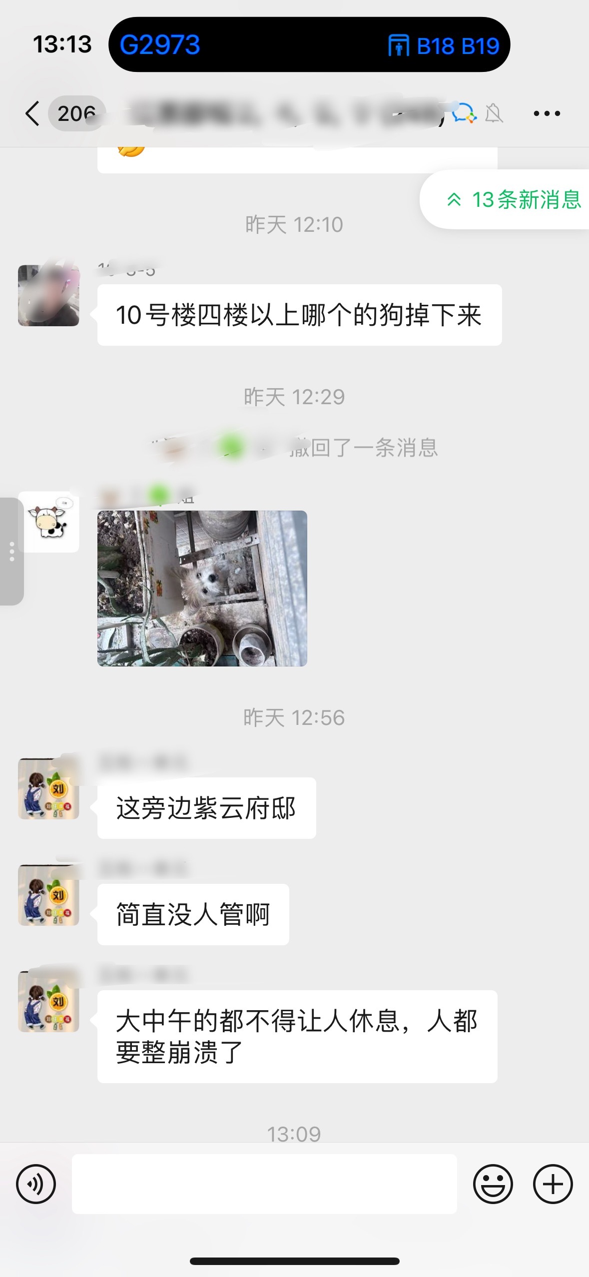 业主群笑死我了 对不起 小狗可怜巴巴的 ​​​