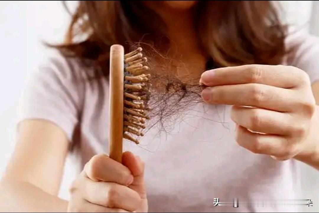 入秋脱发“秃”如其来？北京积水潭医院专家支招：这样防脱才科学！

文/健康生活编