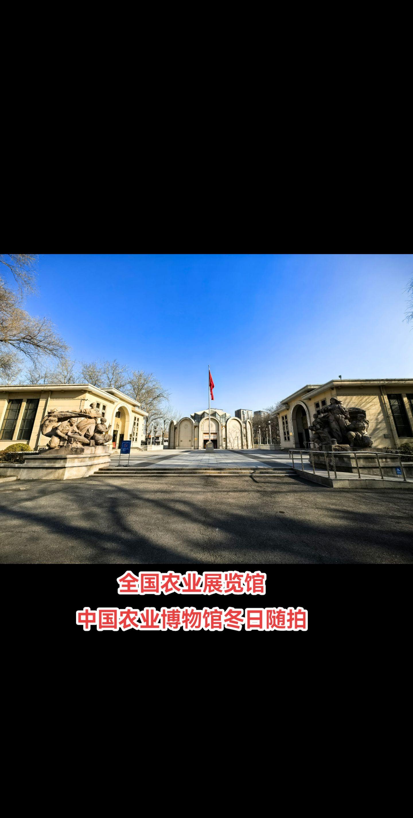 中国农业博物馆院内随拍。