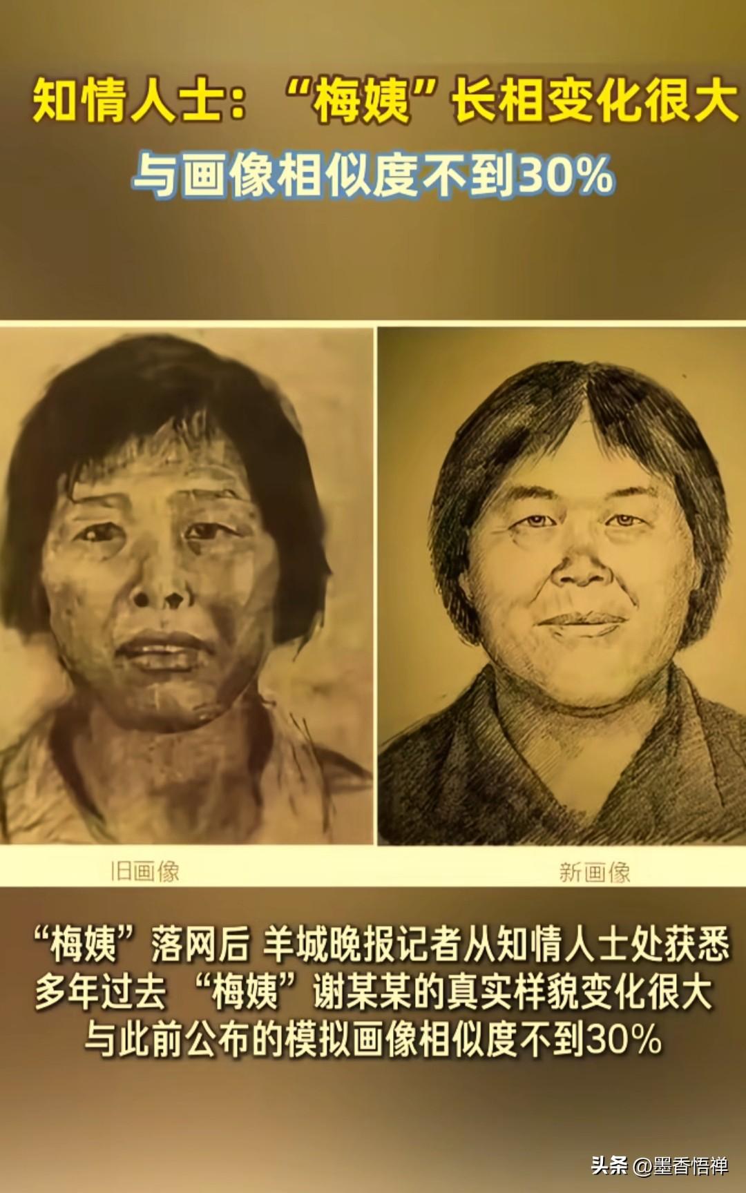 大快人心！人贩子“梅姨”终于落网！20年追逃，正义终至
 
看到今天这消息真是太