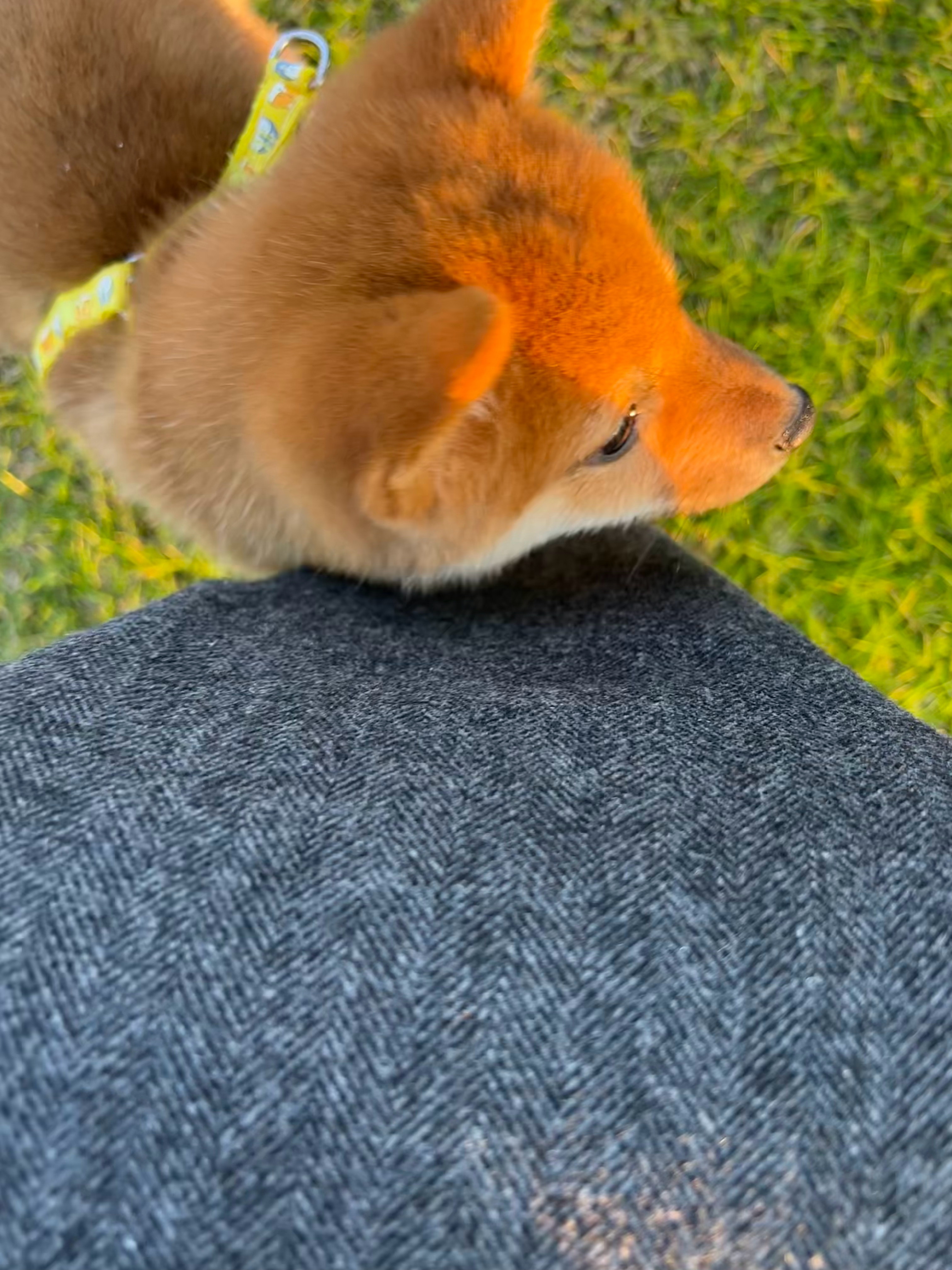 像拍膳魔师推广 前夫有海边闭眼 我有池边闭眼 我们一对爱装文艺逼的怨偶就是这样 