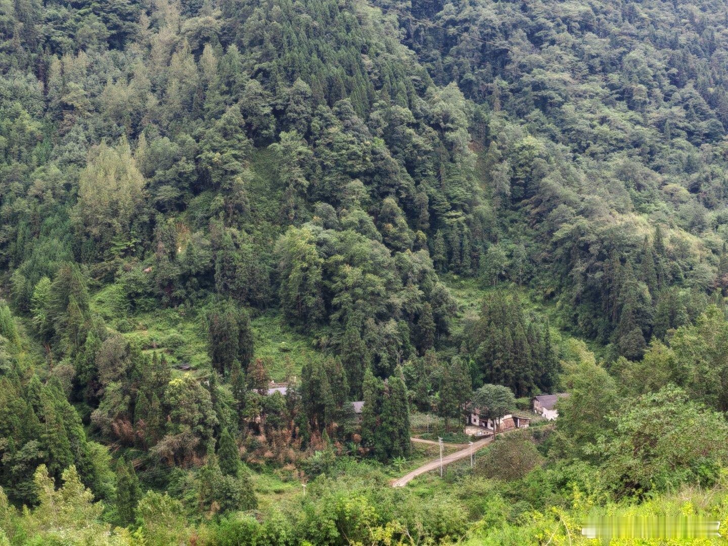 放一波风景。在山里待了几天，感觉眼睛老花有点好转。（毛哥） 