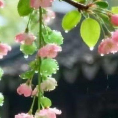 早安早上好心存欢喜，岁月无忧 