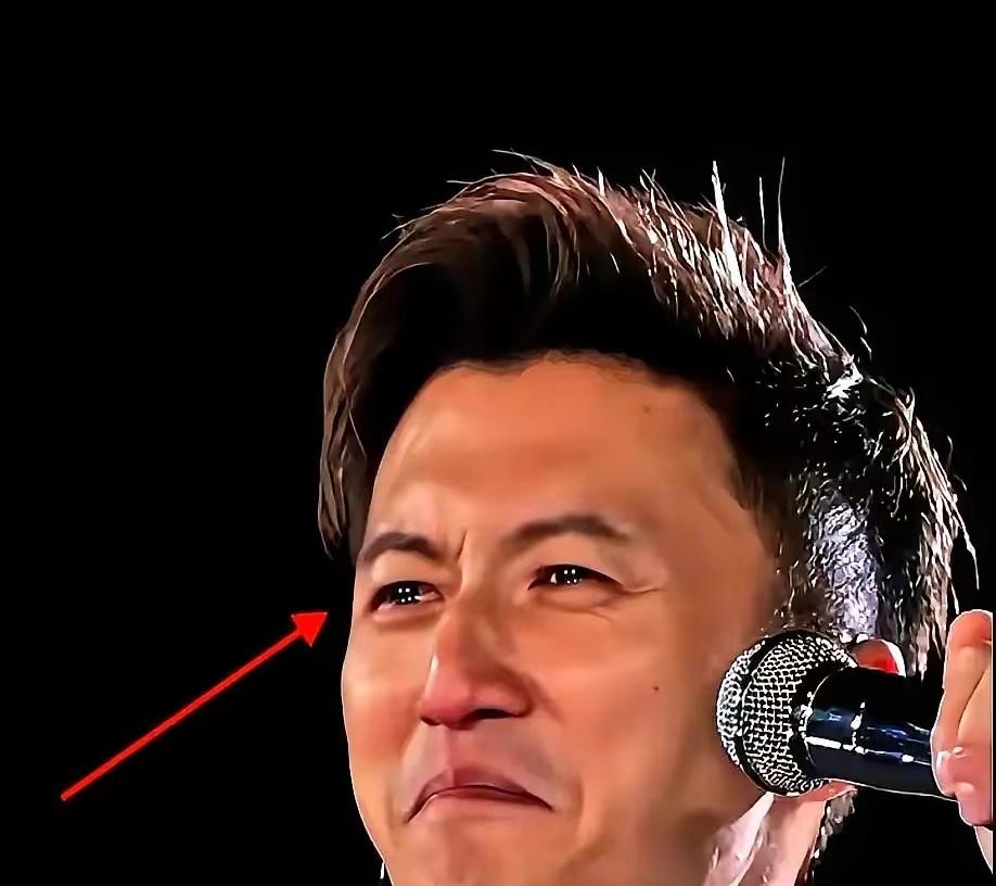 这事儿我琢磨了一晚上，得出一个结论：谢霆锋不是唱歌唱崩了，他是被后台那几百号人的