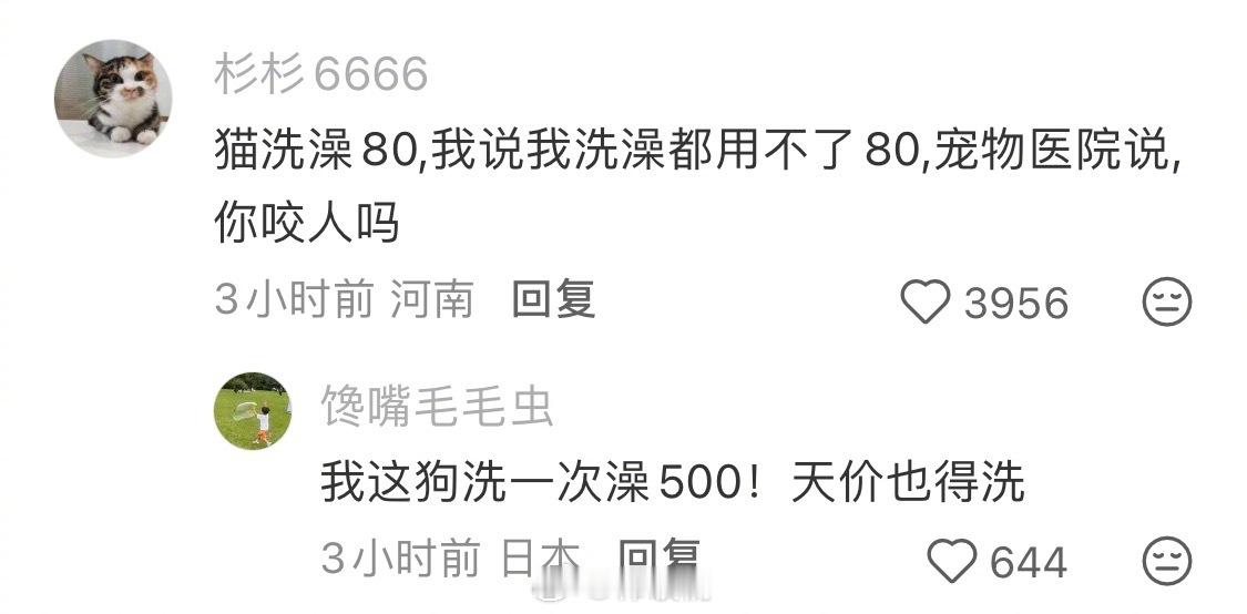 走近科学之为什么猫狗绝育不能局部麻醉