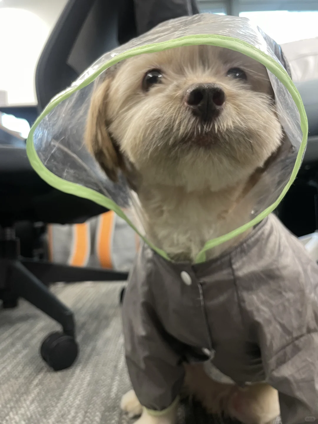 🌧️雨夜tu夫（不是