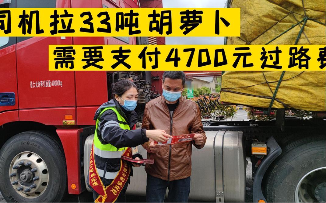 “必须严惩！”2022年，一位司机拉着33吨的胡萝卜前往石家庄，由于走的绿通，一