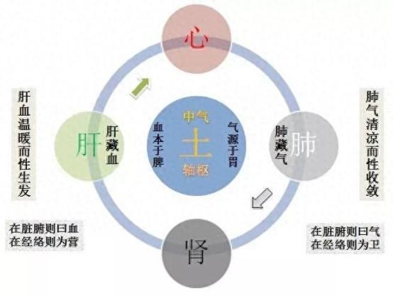 心病从肾治、肾病从脾治、脾病从肝治、肝病从肺治、肺病从心治

1.心病从肾治
辩