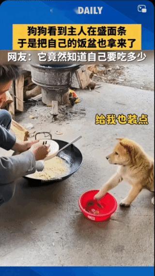 快给我倒满，
你个老六只顾自己吃！