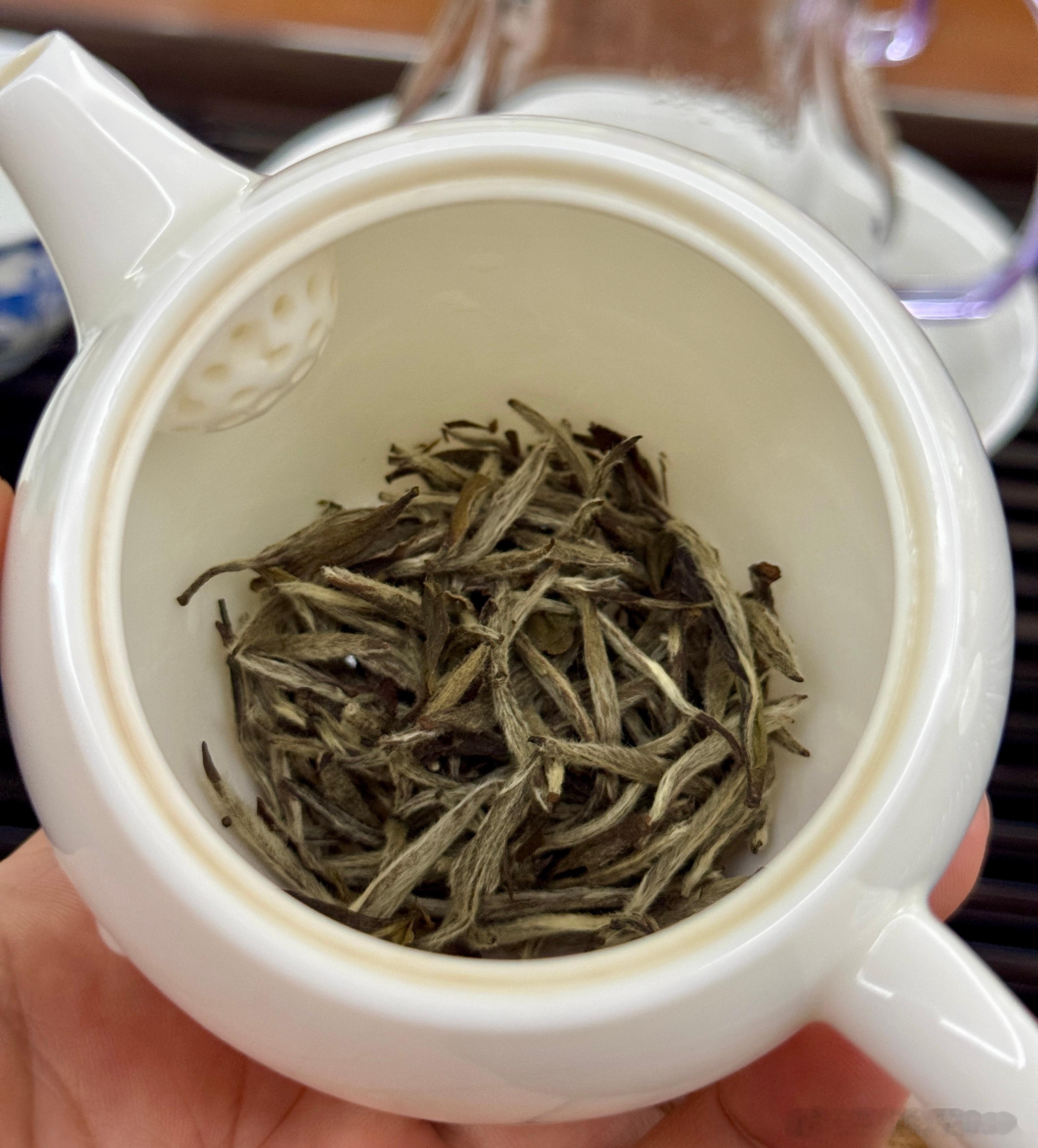 录了两段，刚录完就来客人喝茶了🫖先泡茶，再来传视频哈！没啥干货，纯随意聊聊天