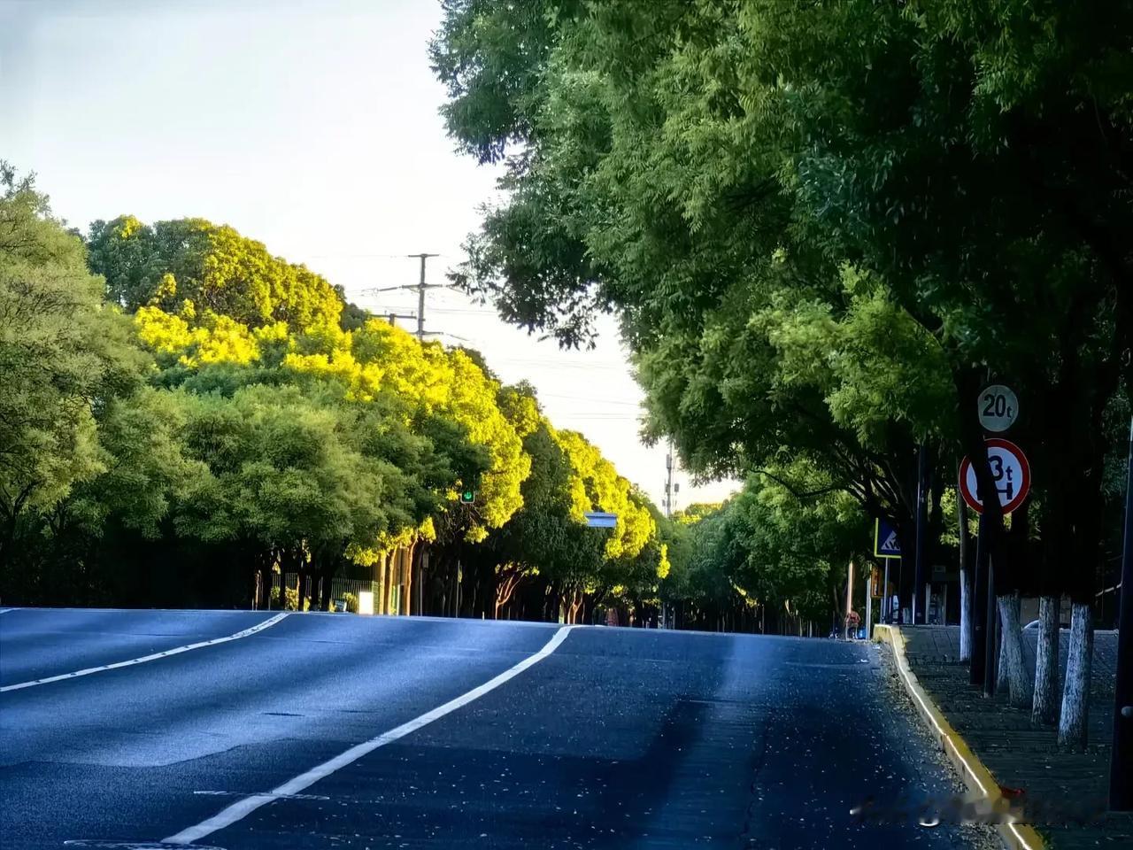 不同季节的美
一样赏心悦目