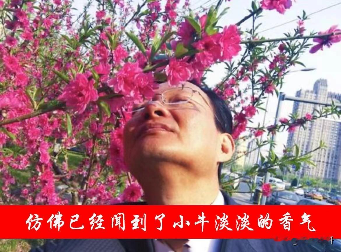 这下踏实多了，再次见证历史，3000多家接近跌停，4600多家跌幅5%以上，A股