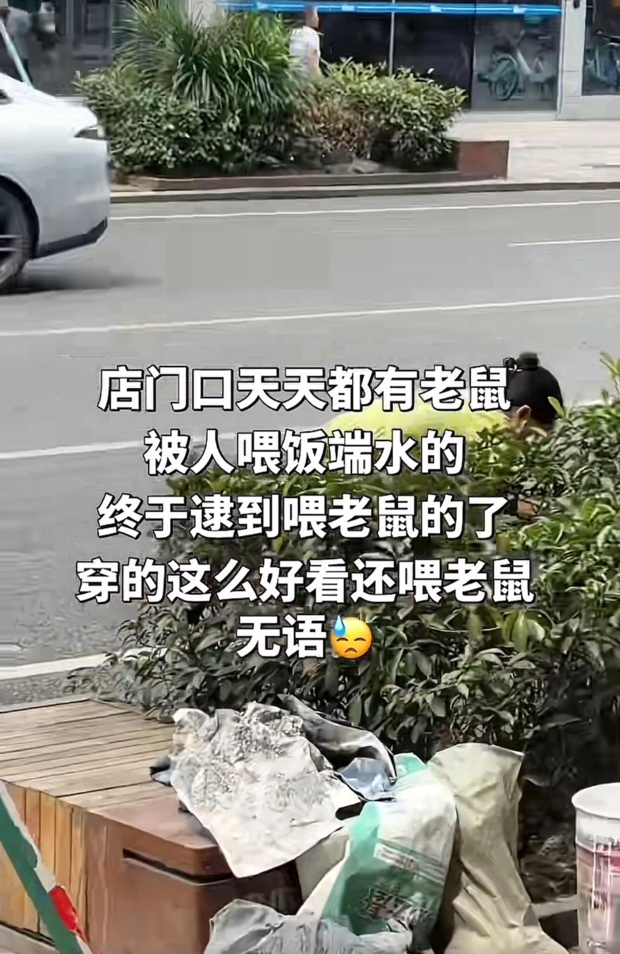 现在的人真神奇！
四川成都，6月4日一位网友分享，她店门口有个老鼠洞，经常有人拿
