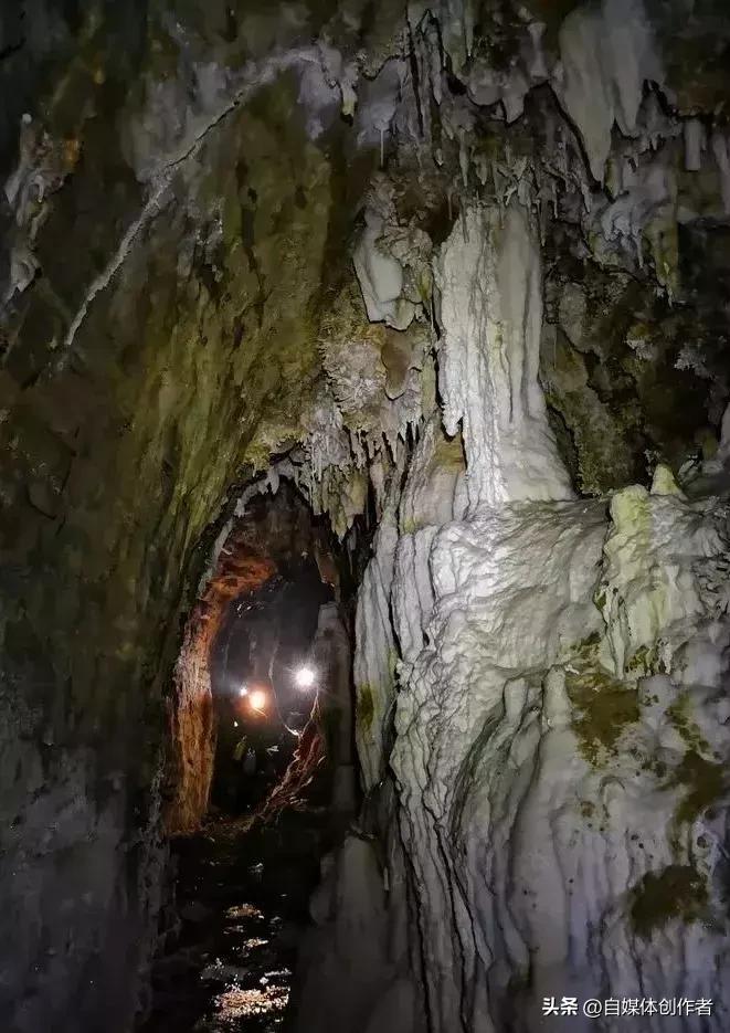 贵州溶洞惊现反向森林！全球仅三处，中国这处竟成世界之最
 
2026年3月，贵州