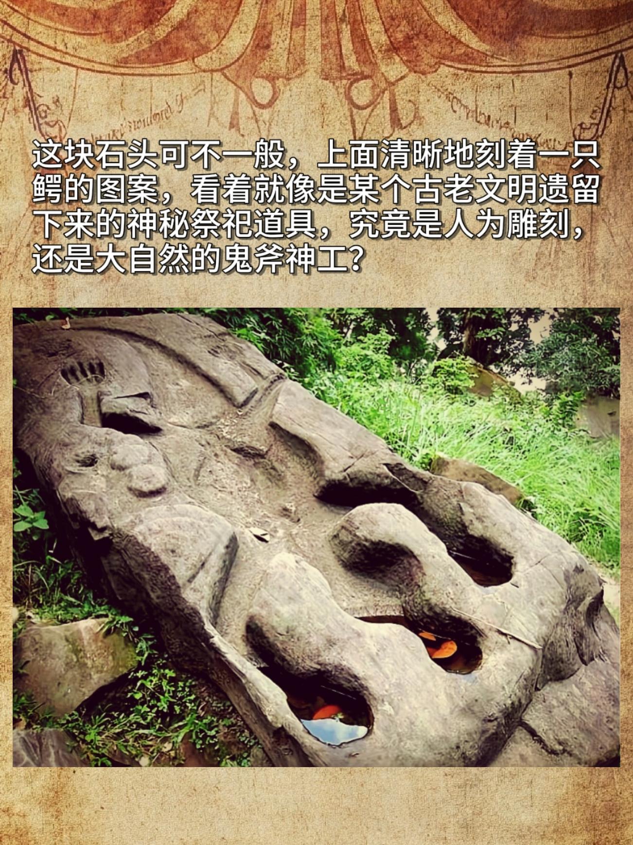 这块石头可不一般，上面清晰地刻着一只鳄的图案，看着就像是某个古老文明遗...