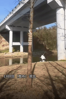 钓个鱼还给自己安排了按摩服务，不得不说，大哥你是真会享受啊！

地点湖北，有网友