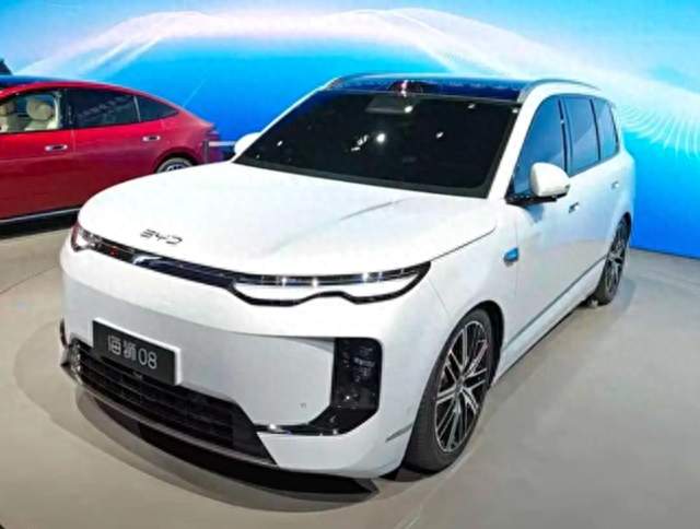 王阳同款新座驾！比亚迪海狮 08：23 万级 SUV，开出百万级旗舰气场
