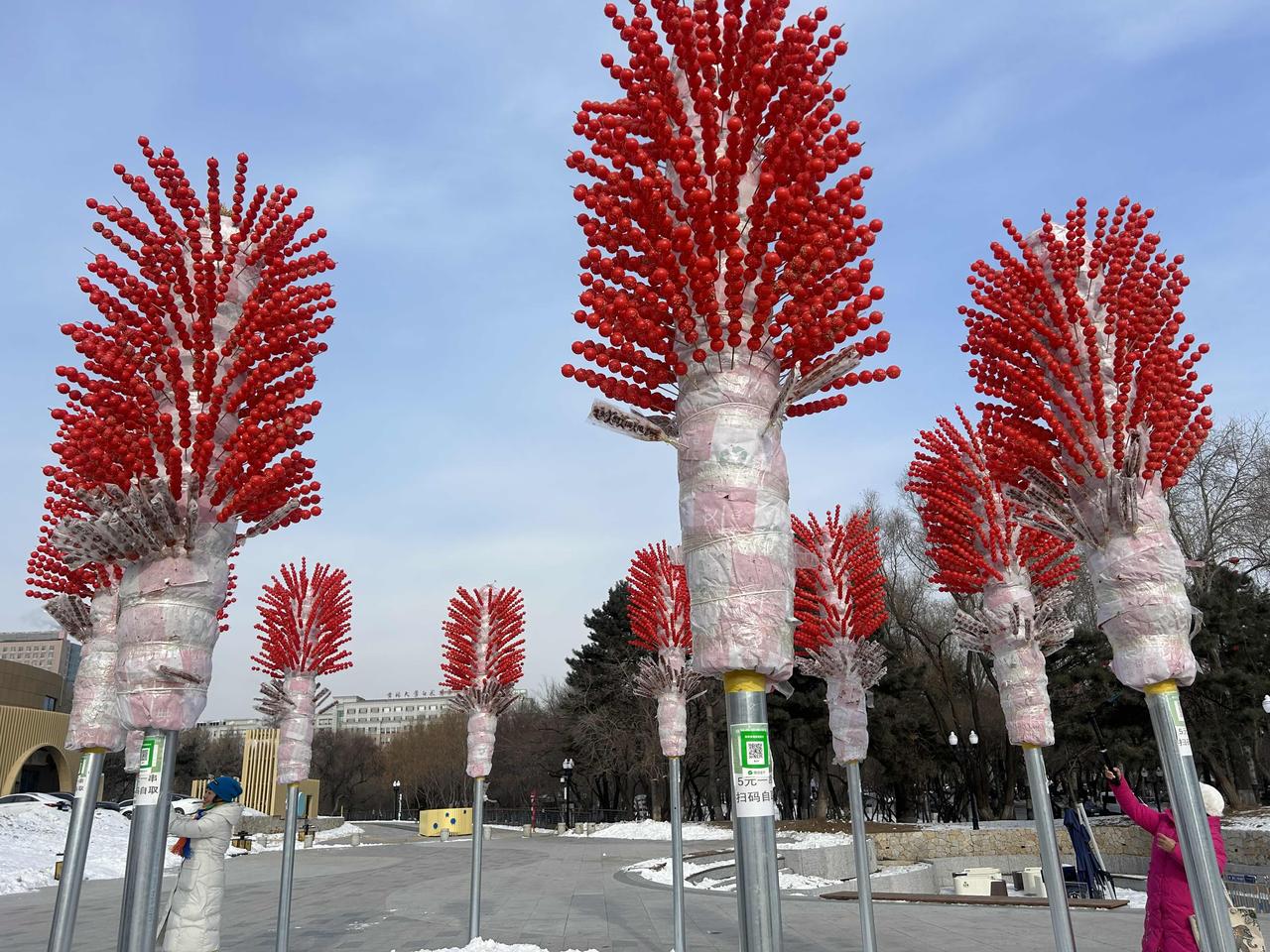 能温暖别人的人，

心底一定柔软。

能取悦自己的人，

活得格外清醒。

人生