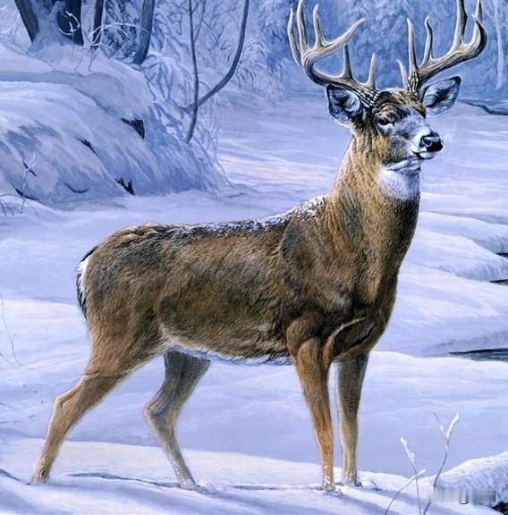 麋鹿乱撞。
世界杯亚洲区预选赛里，中国足球就似那“小鹿乱撞”般，不伦不类。第三阶