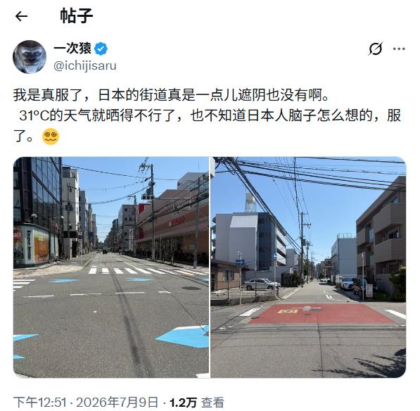 刷到在日华人吐槽日本街道几乎没有树荫，深以为然！ 

回想去过的东京、大阪、名古