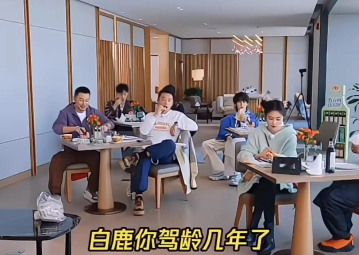 郑恺问白鹿驾龄几年，白鹿回答12年。郑恺说真的啊。然后白鹿来了句：开过10次。这