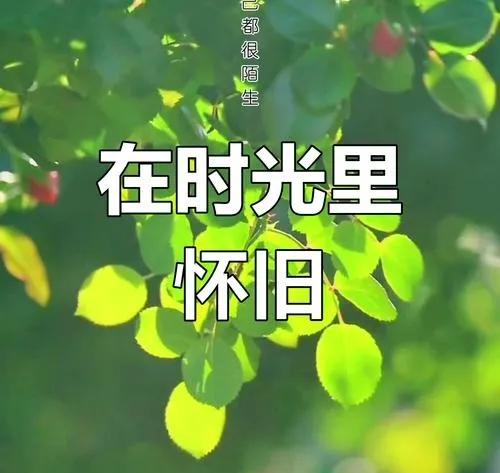 邻里间没有紧闭的门，谁家做了好吃的会端一碗分享，孩子放学能在巷子里疯跑着蹭饭；家