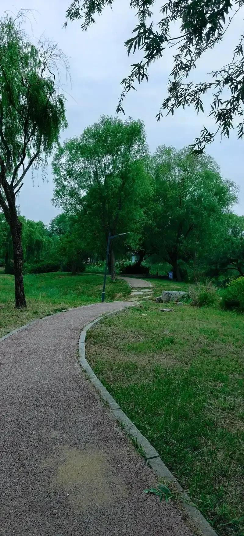 1. 健康：是一切的根基，身体安稳，才有精力感受生活。

2. 心安：内心坦荡、