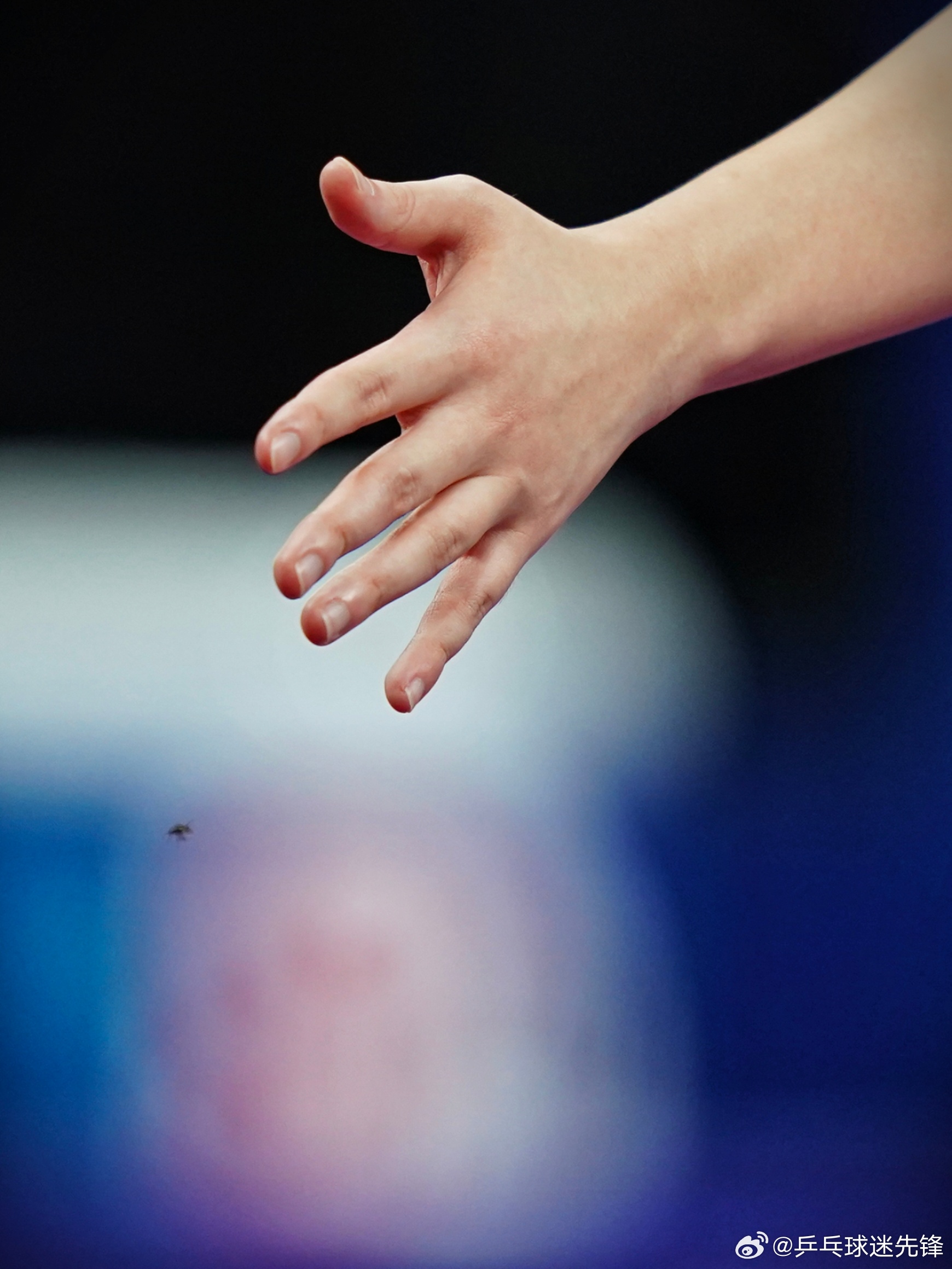 拾照片|2022年冠军赛~🫧🐟赶走小飞虫，加油！ 