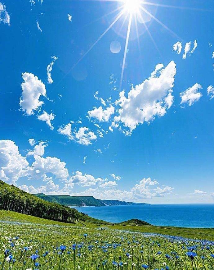 我场外还空仓昵，机会是给准备好的人的，哇哈哈哈哈哈…… ​​​