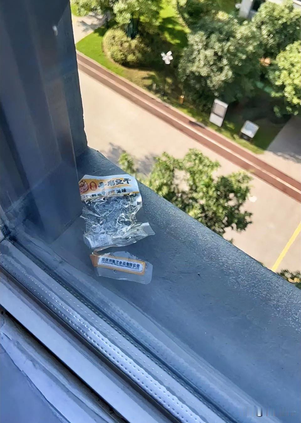 看着窗沿上，这被扔下来的豆干包装袋垃圾
实在让人窝火
不知道哪一户，吃完零食随手
