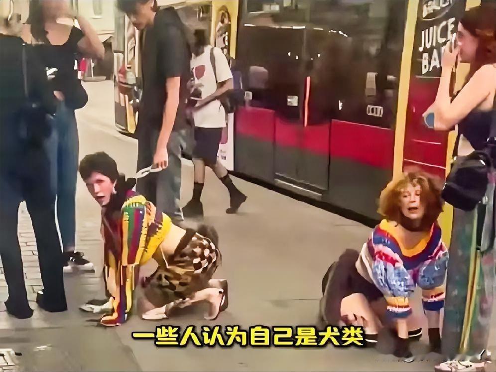 近日，俄罗斯（RT）12月1日报道，欧洲掀起了一股“犬类自我认同”的离谱潮流。