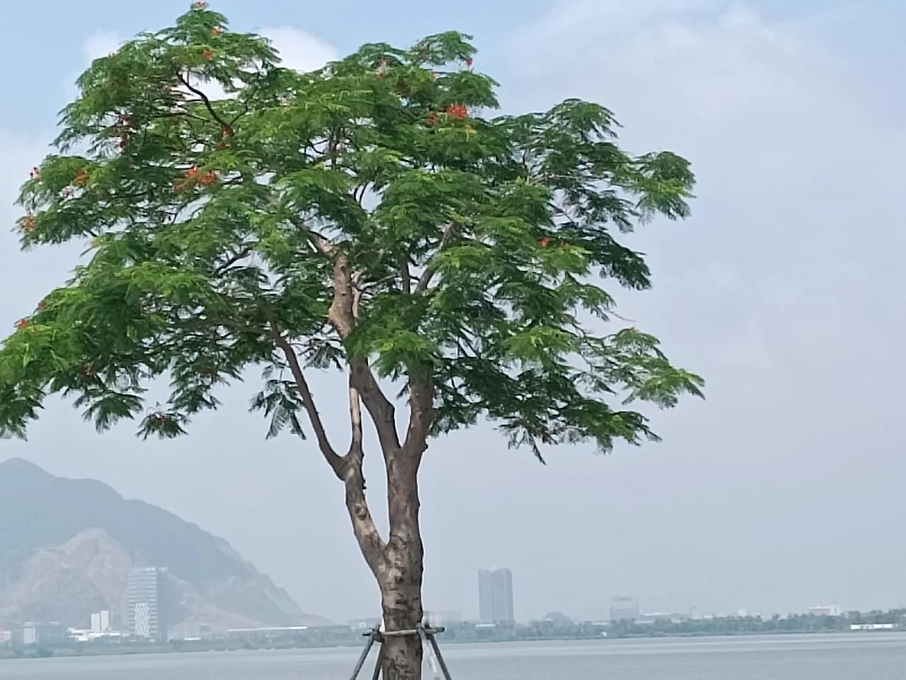 随手一拍游山玩水的照片
山清水秀，风景优美
空气清新，令人溜连忙返
美丽的公园[