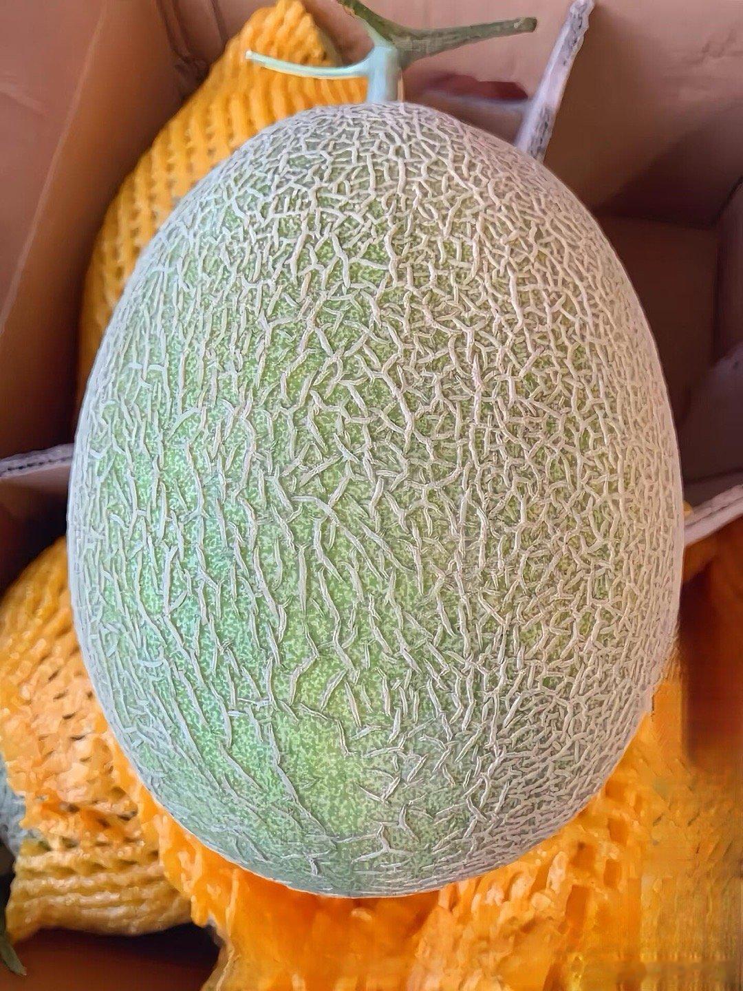 刷到内蒙古姑娘吃遍全国水果的视频，太有共鸣！去年我给我妈买哈密瓜，挑了家“产地直