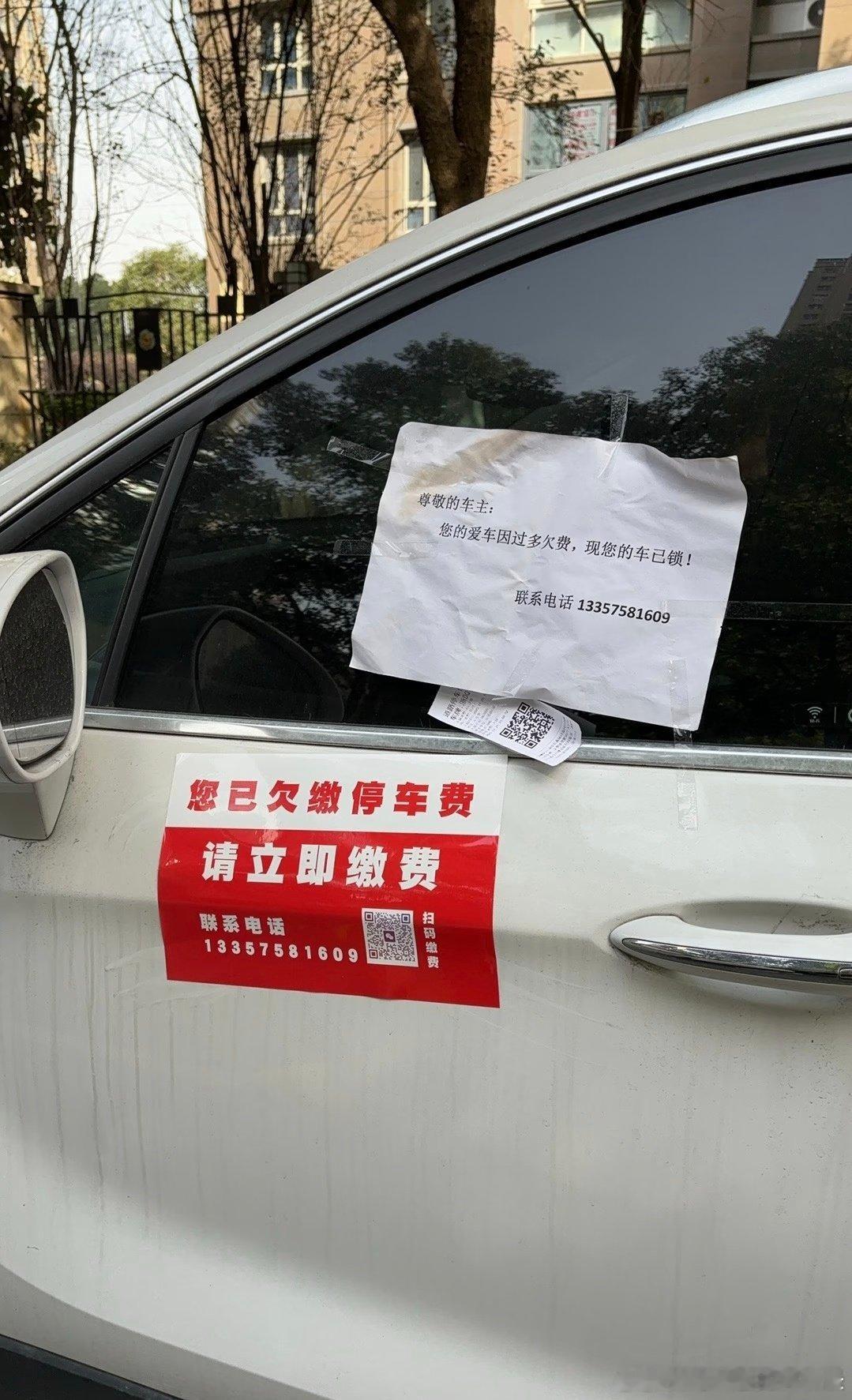 路边停车收费有权利锁车吗？纯好奇问问我和汽车的日常 （