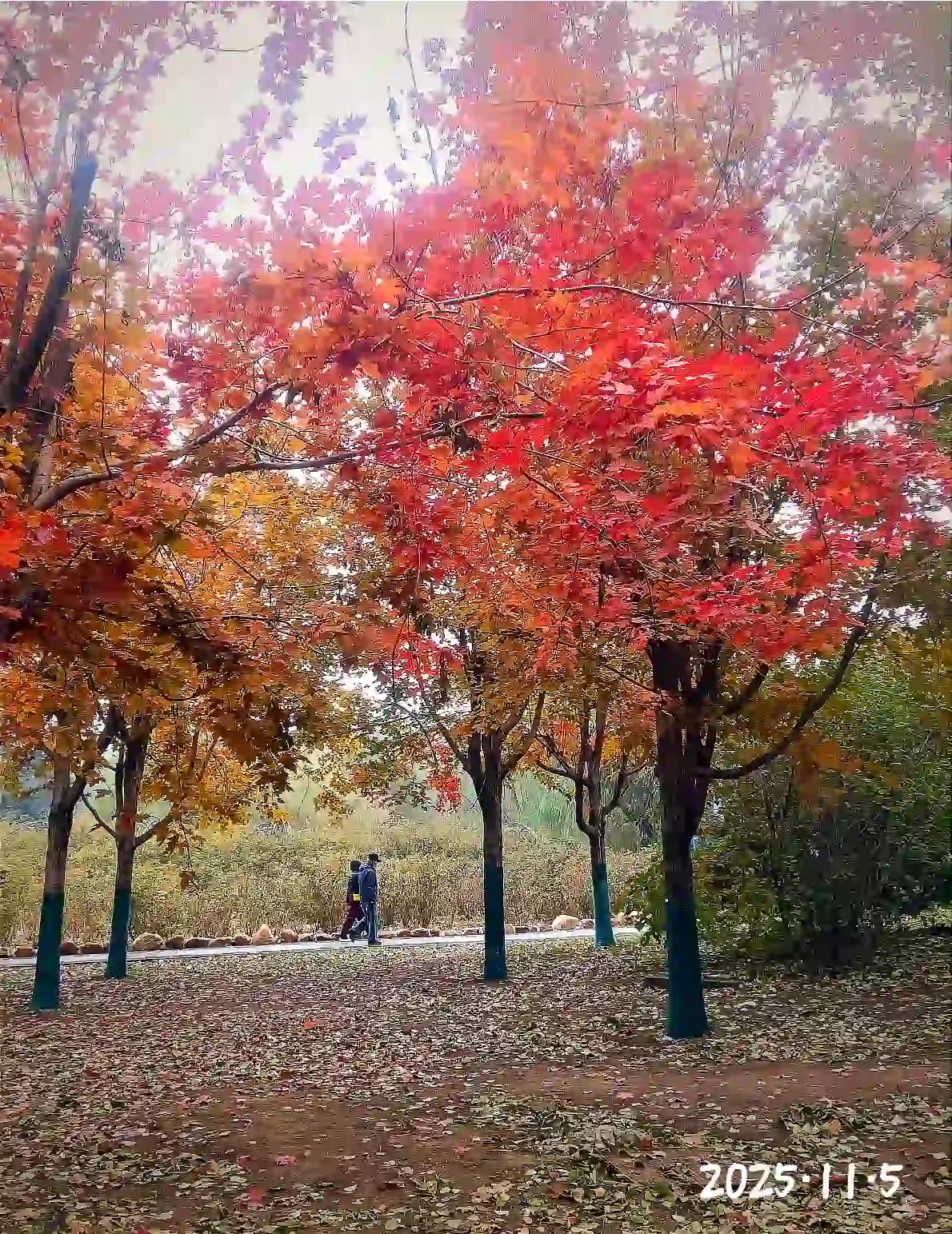 这是我们世代生活的家乡，就是一座普通的城市。没有名山大川的镶衬，却有着独特的韵味