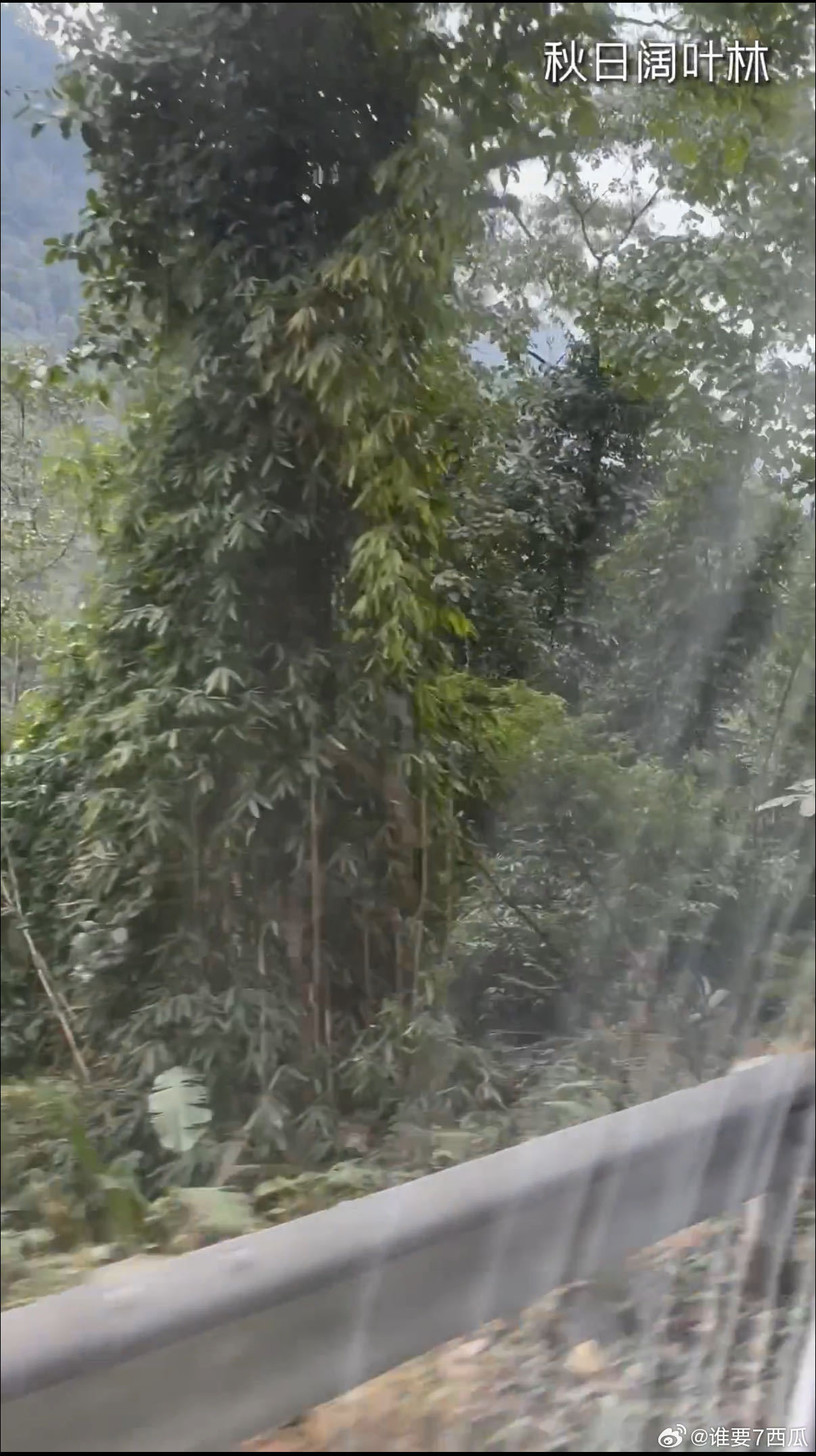 种地吧带你在墨脱一日看四季种地吧 看种地吧就像跟着去旅行，墨脱的四季变换，让人大