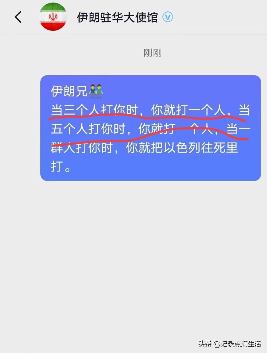 中国网友给伊朗出谋划策，凝聚了中国几千年以一敌多的经典打法。
可惜伊朗应该是听不