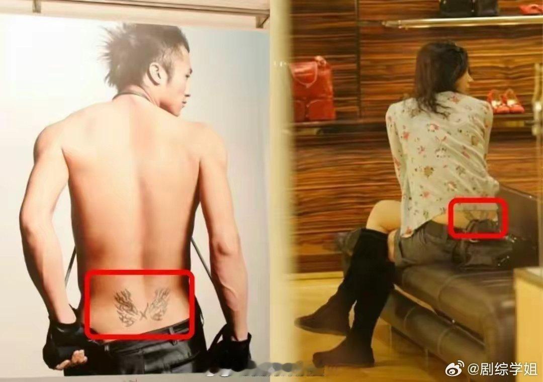 王菲跟谢霆锋的情侣纹身，后腰的比翼双飞… 