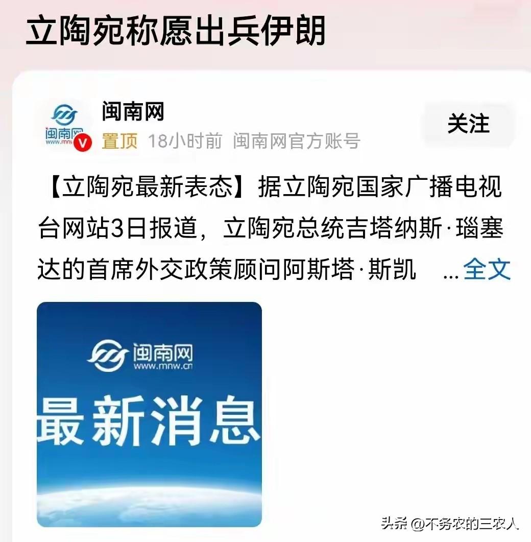最近刷到一条新闻，差点以为自己看错了：立陶宛居然表态，愿意出兵帮美国打伊朗。
一